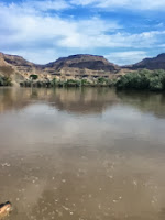 surviving the Colorado river