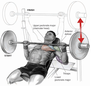 Incline Chest Press