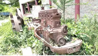 Neel ki kheti