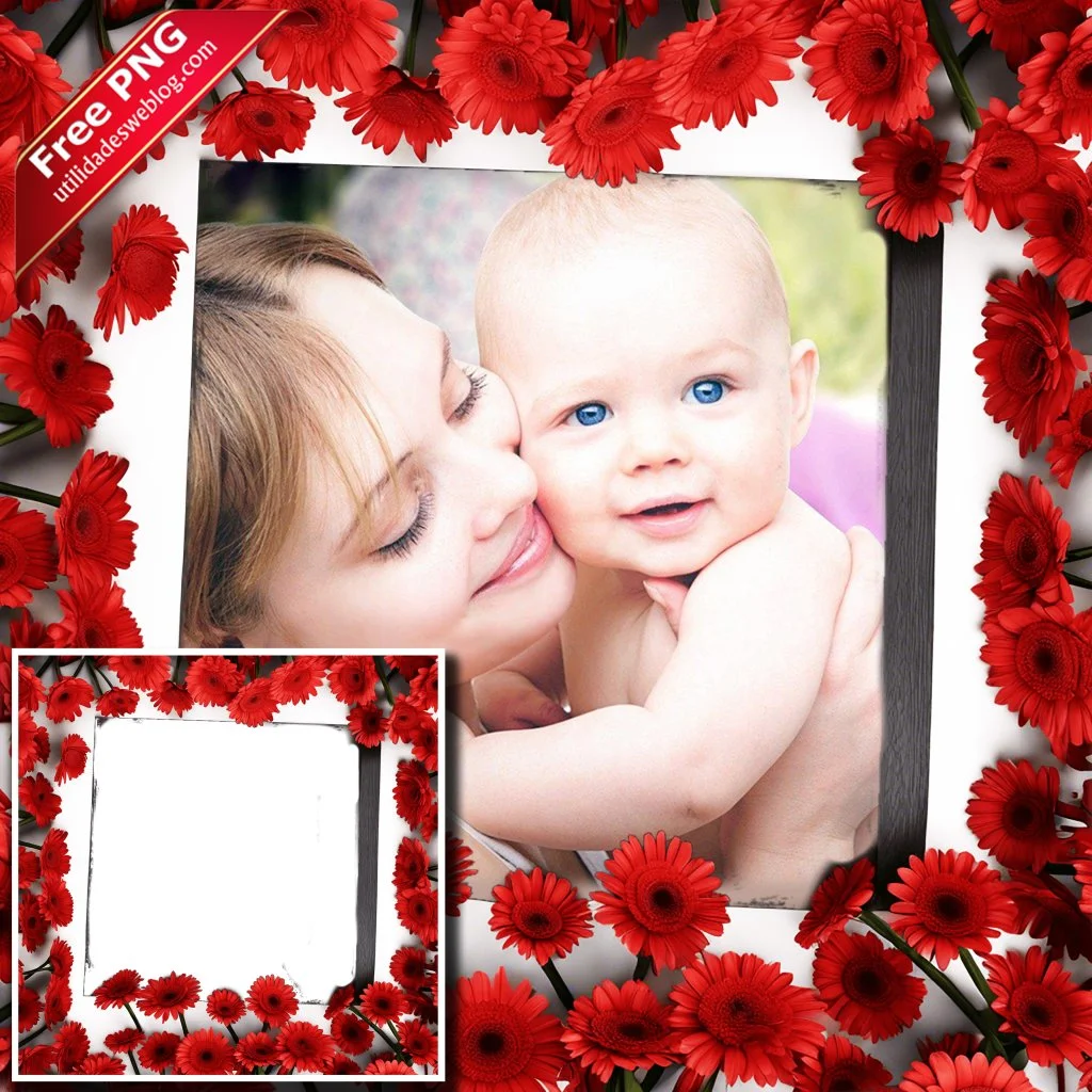 marco para fotos con flores de gerberas rojas en png con fondo transparente para descargar gratis