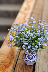 buchet flori de nu ma uita in vaza albastra, forget-me-not flower bouquet