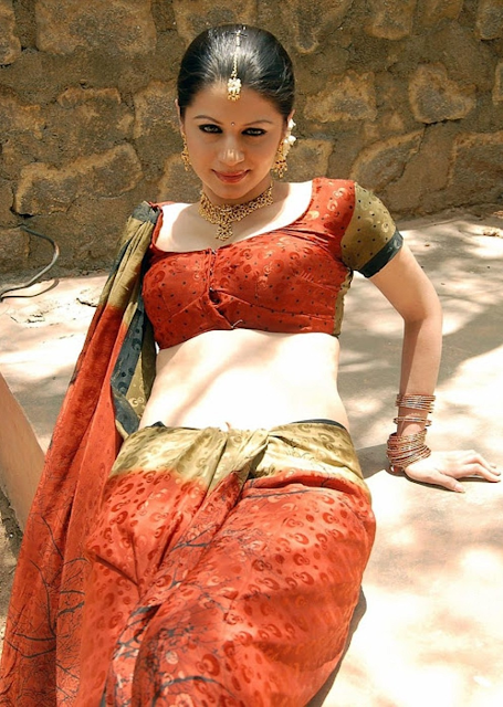 South Indian Actress Charu Arora Hd Wallpapers