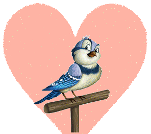 Animation Bundle: Bird Animations Birds Gifs and Birds Clipart All at One Place Just for You ...