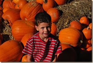 ED in pumpkins