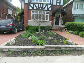 Midtown Toronto gardening services new low maintenance perennial garden before by Paul Jung