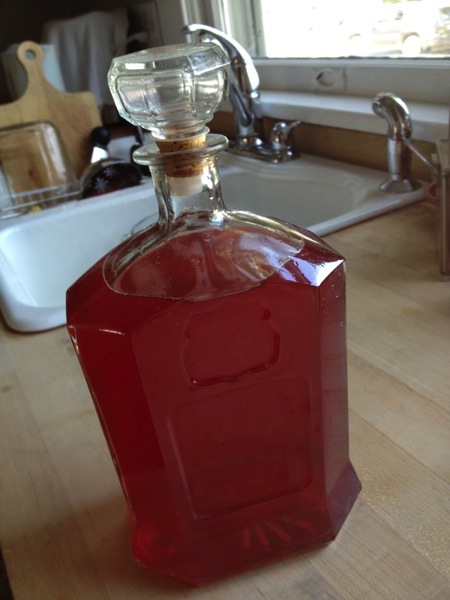 Rhubarb Cordial