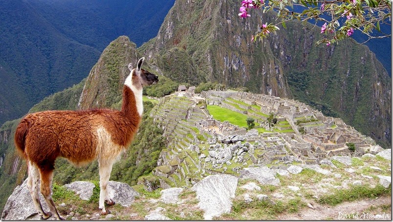Machupicchu 086