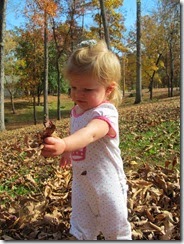 leaves 18mo 017
