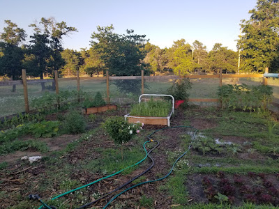 Garden Homestead