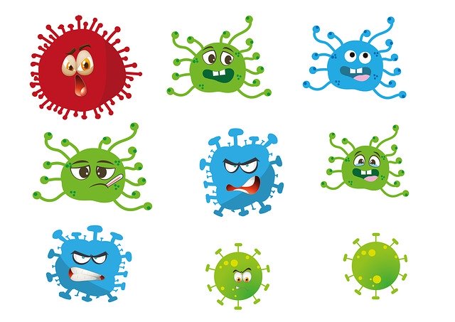 The 8 Biggest Infectious Disease Outbreaks of the Last Decade
