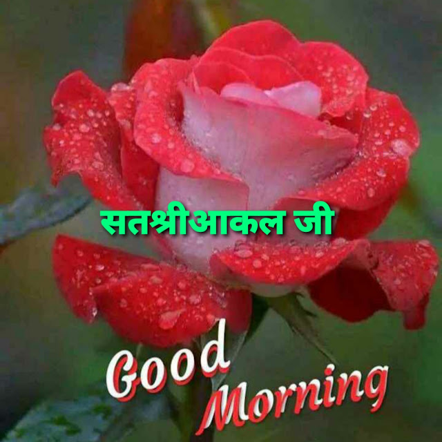 Sat Shri Akal Ji Good Morning 