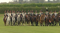 pension chevaux retraite