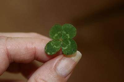 four leaf clover