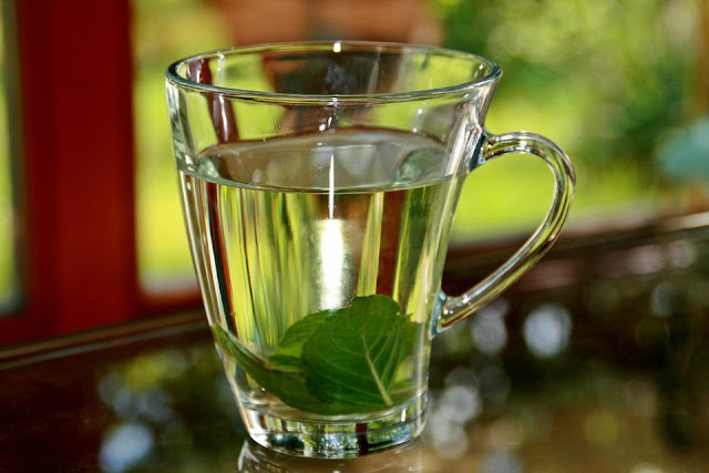 benefits of green tea, green tea health benefits, green tea for weight loss, anti-aging, Anti-wrinkle tea, green tea benefits, weight loss tea, herbal tea for weight loss