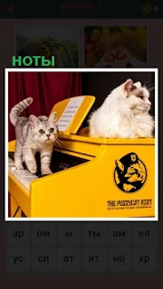  две кошки на пианино ходят и стоят ноты для игры