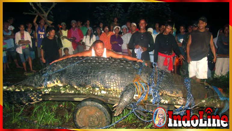 Bocah 10 tahun tewas diterkam buaya air asin