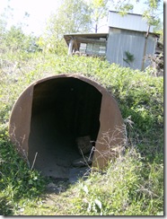 HPIM7619