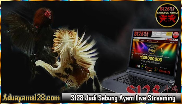  S1288 Situs Judi Sabung Ayam Live Streaming Terpercaya