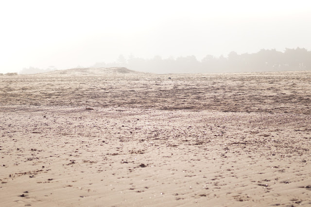 Wells Next The Sea beach in winter