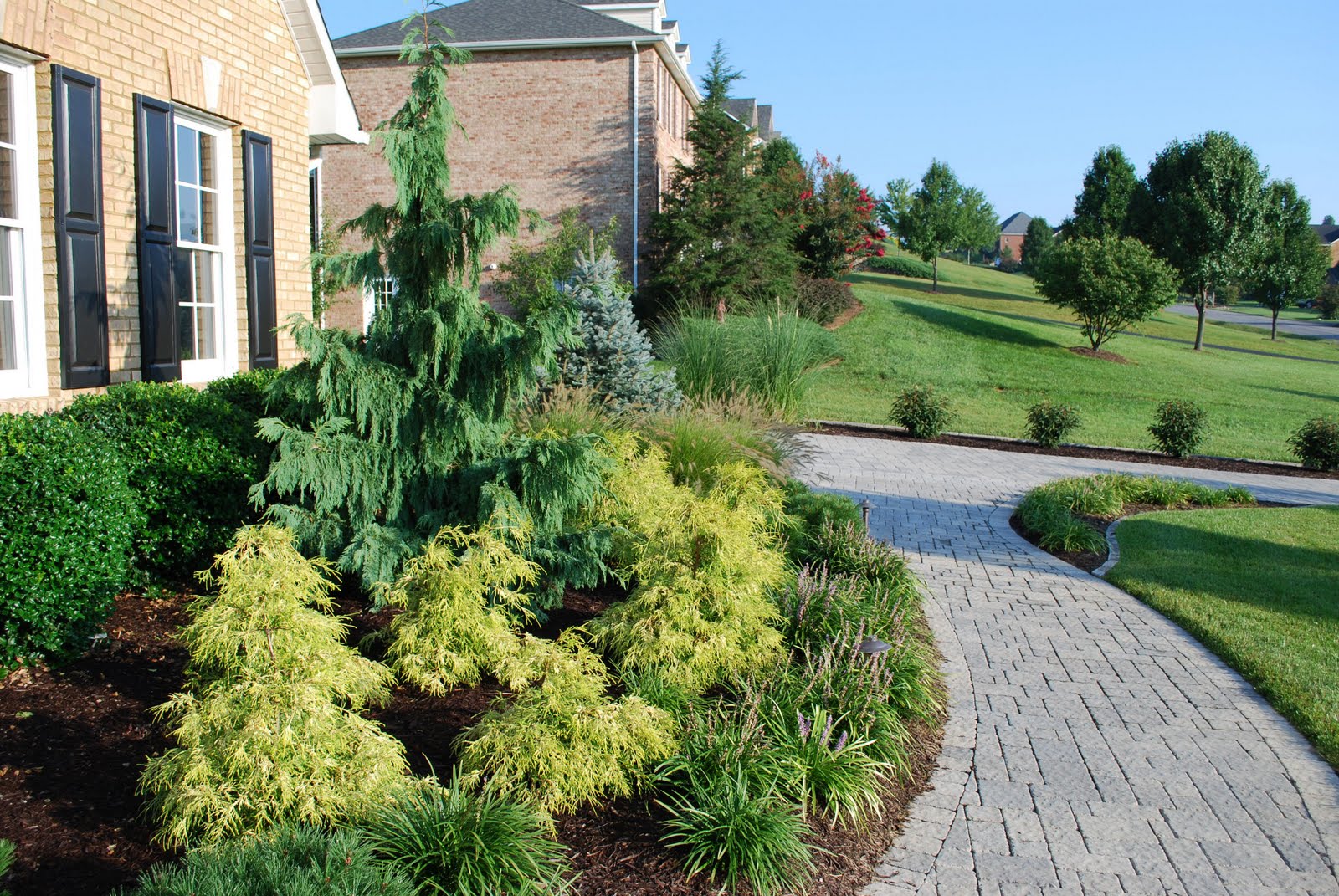 Landscaping around Trees