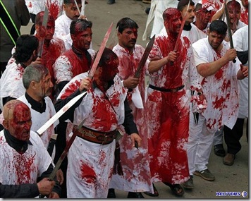 MIZ10ee0e_ashura5