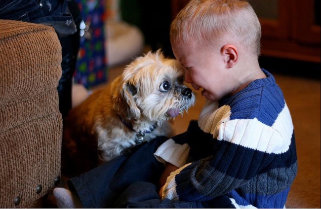 25 reasons why kids need pets