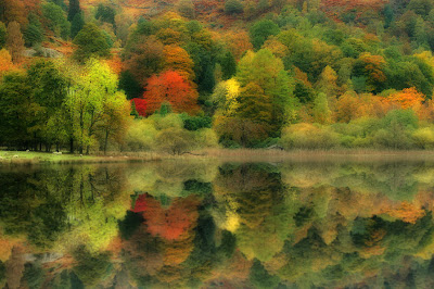 La belleza de la naturaleza (10 paisajes naturales)