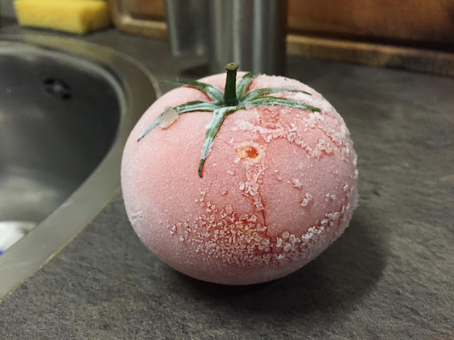 See what happens to a frozen tomatoes