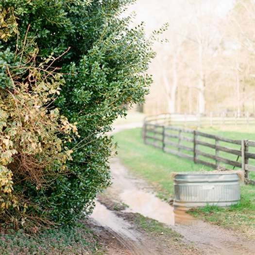 2_design_sponge_blog