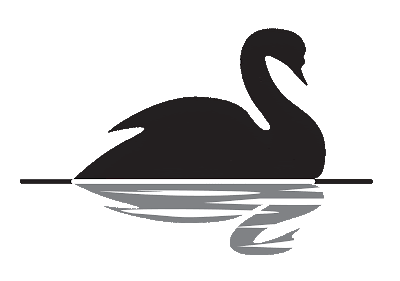 teoria-del-cisne-negro