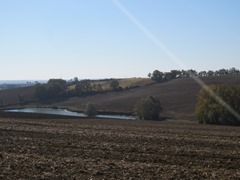 IMG_3150