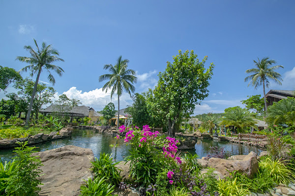 绿油油的餐厅公园