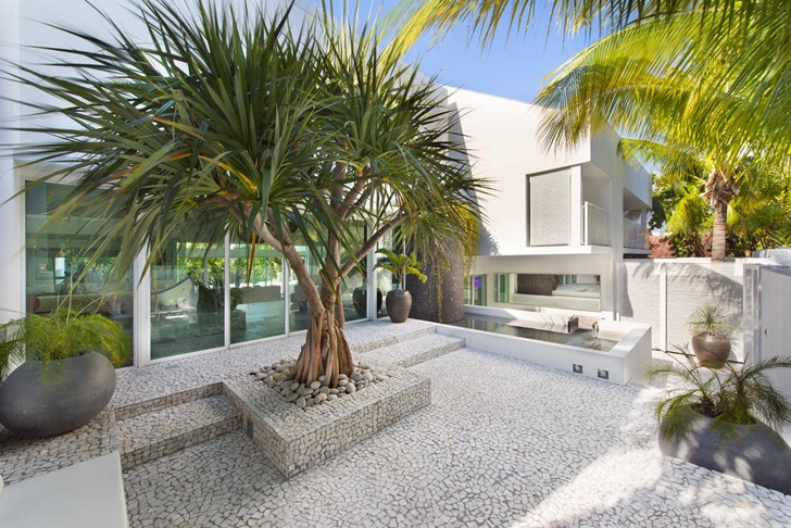 Tree in front of Modern mansion in Miami