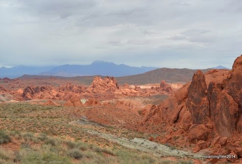 DSC_0005