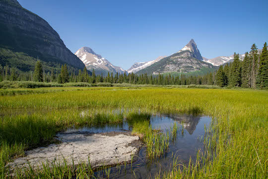 Gunsight Mountain and Mount Jackson