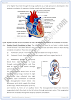 transport-detailed-question-answers-biology-9th-notes