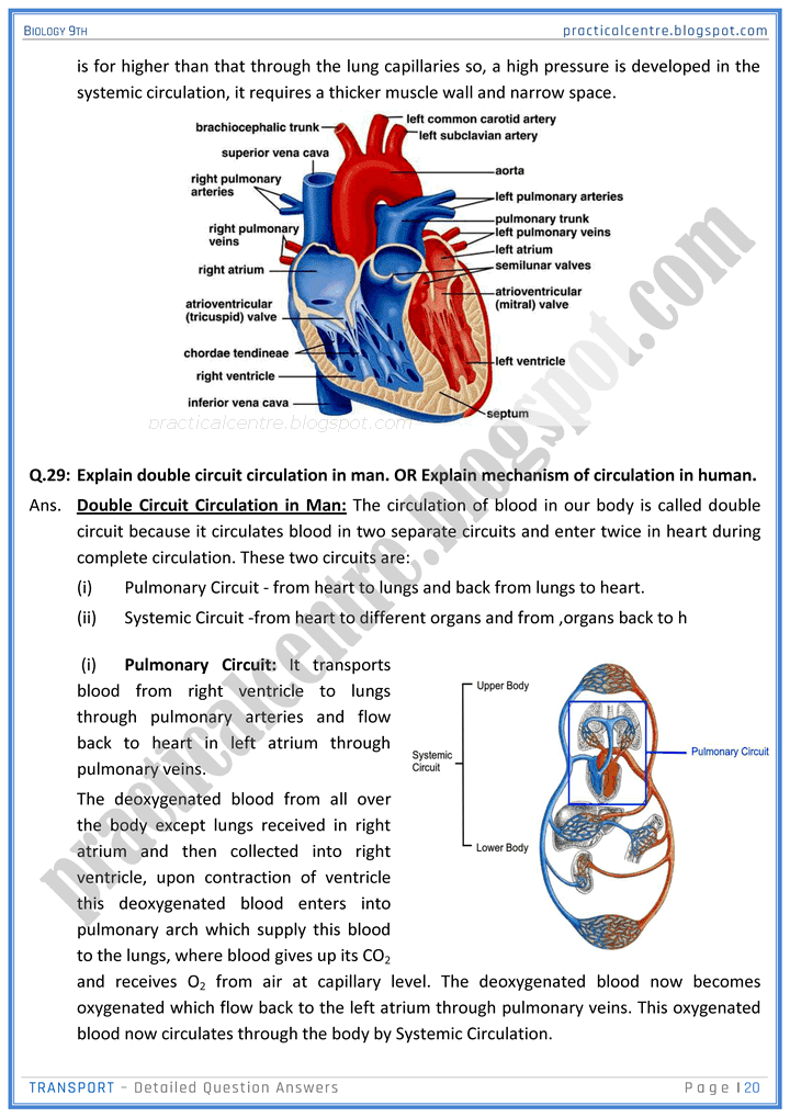 transport-detailed-question-answers-biology-9th-notes