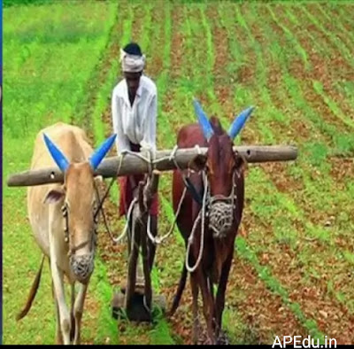 Jagan Sarkar is good news for farmers in AP.
