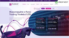 Tradebull LTD обзор и отзывы HYIP-проекта