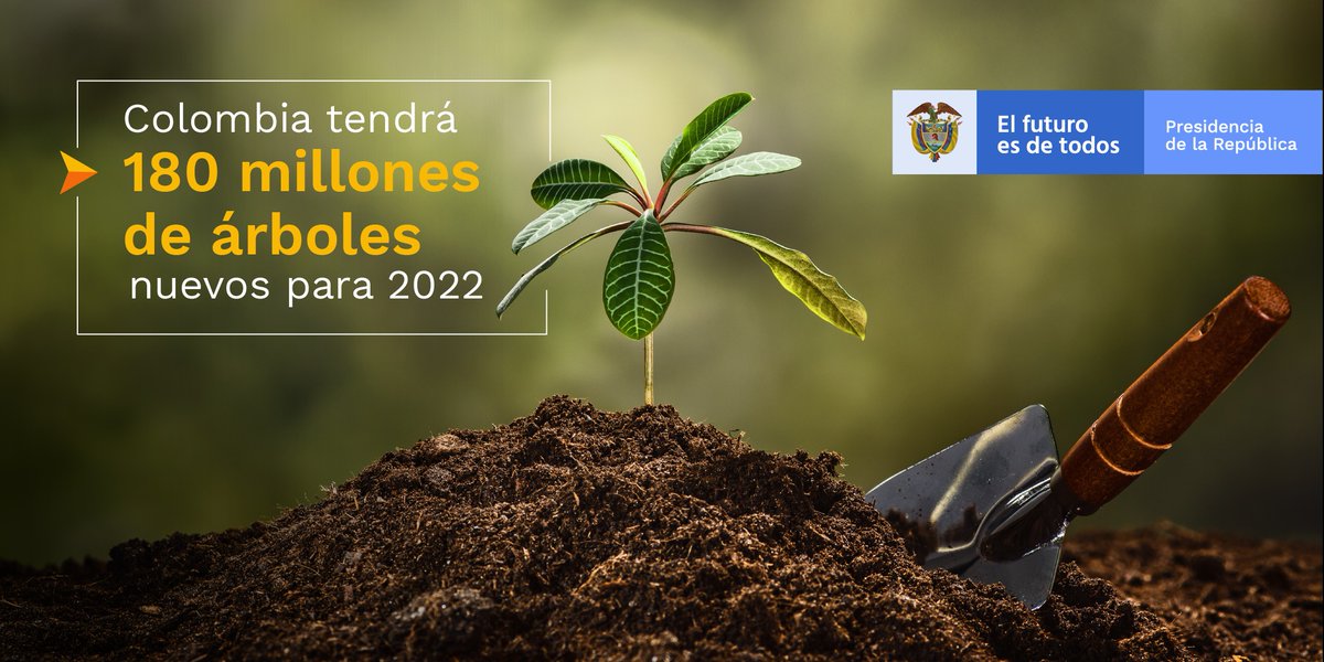 https://www.notasrosas.com/Constructora Capital sembrará 850 árboles con el respaldo de Minambiente y en coordinación con la Corporación Novaterra