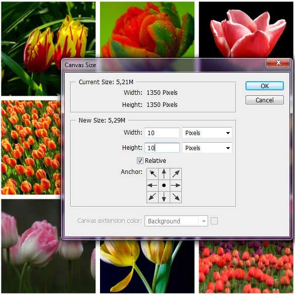 Add canvas size by 10 pixels