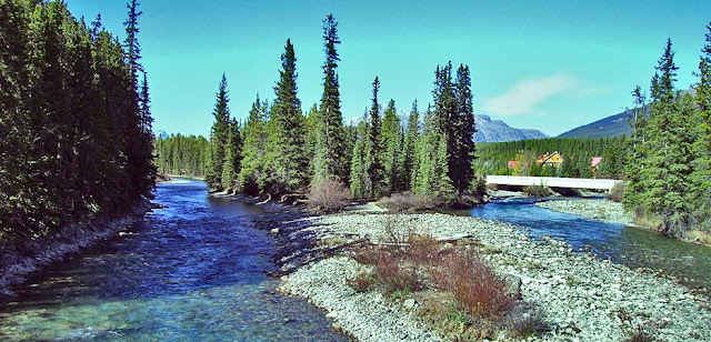 The Bow River near Banff