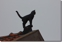 IMG_0655