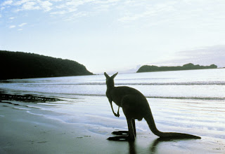 kangaroo island beach