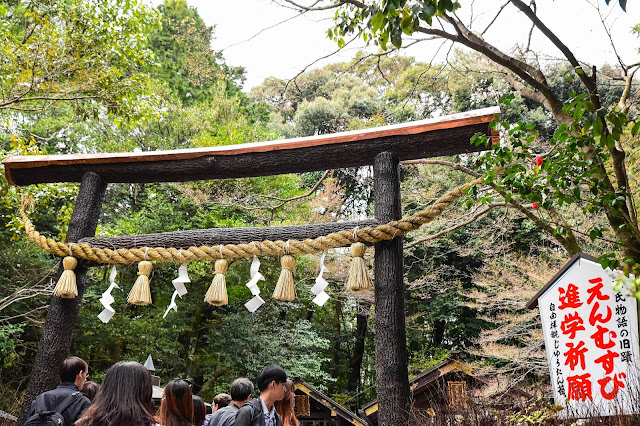 日本關西京都嵐山櫻花 竹林 野宮神社