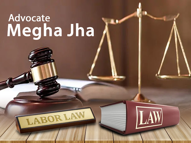 labour law advocate
