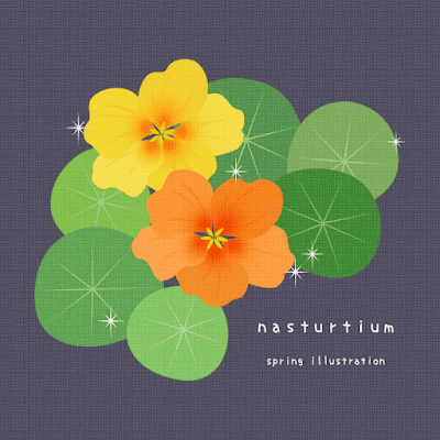【ナスタチウム】花のおしゃれでシンプルかわいいイラスト