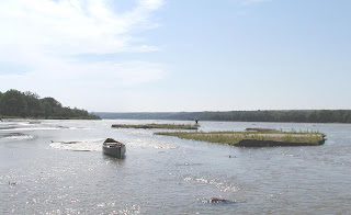 [Survey of tern and plover along the Niobrara river]