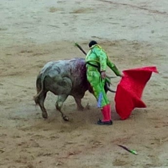 Pamplona 2014.07.12·Saúl