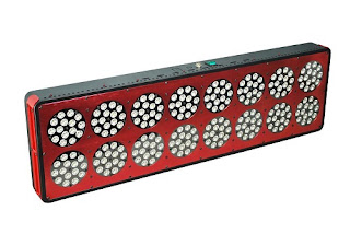  LED Grow Light Manufacturer China